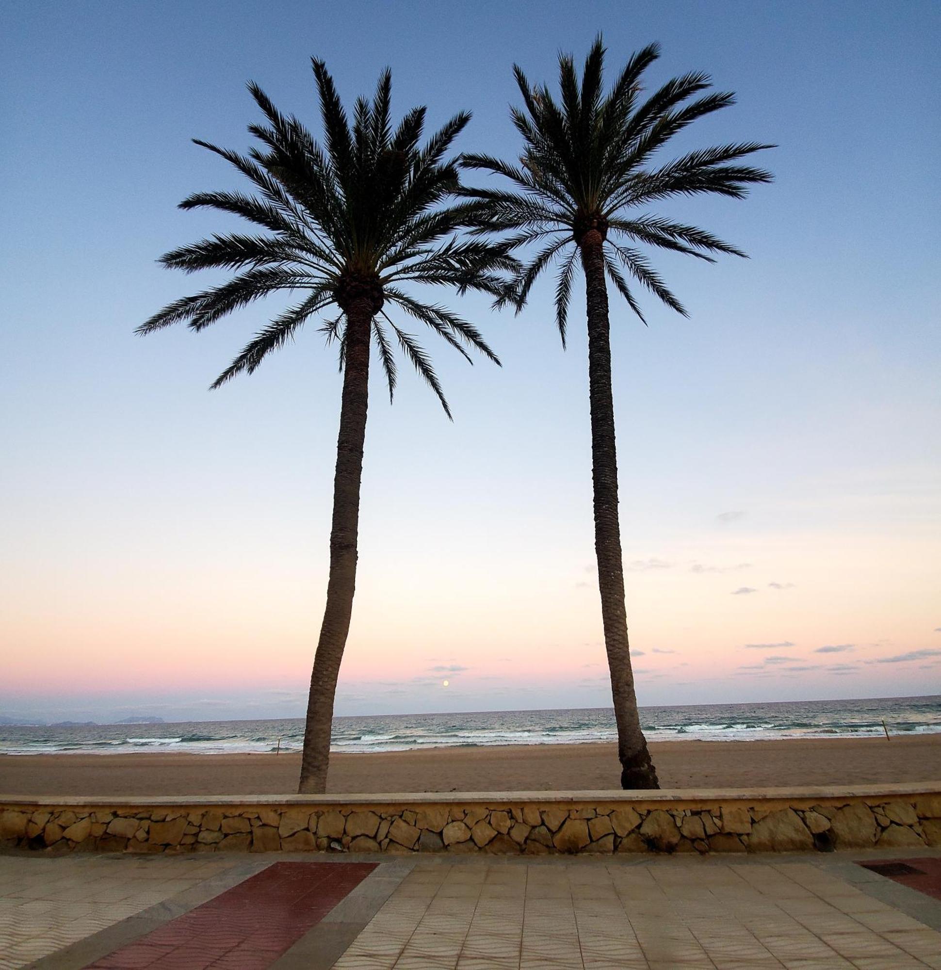 Appartement Costa Blanca La Cenia I